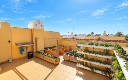 Resale - Townhouse -
Ciudad Quesada