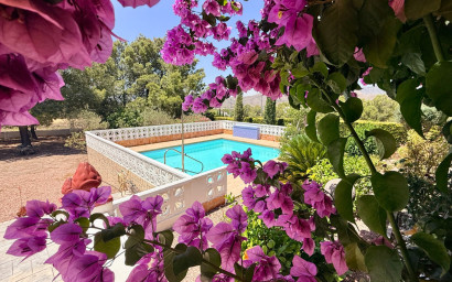 Resale - Finca - Country Property -
Hondón de los Fráiles
