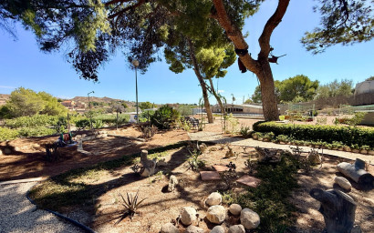 Revente - Villa -
Elche - Center