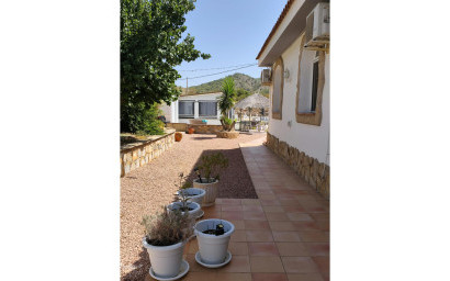 Revente - Maison de campagne -
Mon&oacute;var - Monovar
