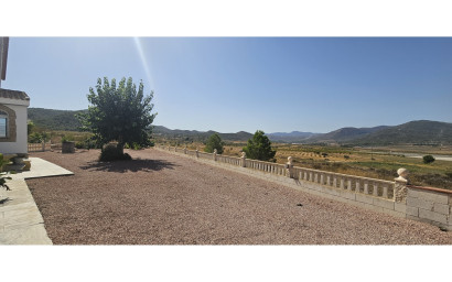 Revente - Maison de campagne -
Mon&oacute;var - Monovar