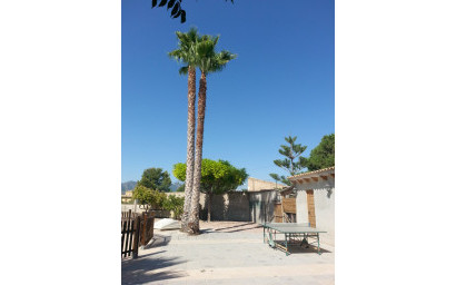 Herverkoop - Villa -
La Romana - Inland