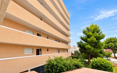 Herverkoop - Plat -
La Zenia - Costa Blanca