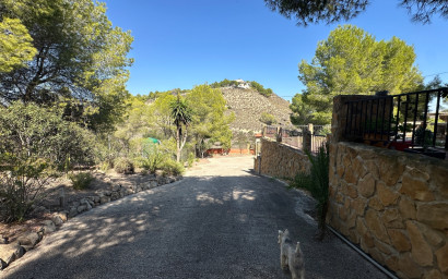 Herverkoop - Landhuis -
San Miguel de Salinas - Inland
