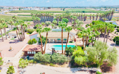Revente - Villa -
Daya Vieja