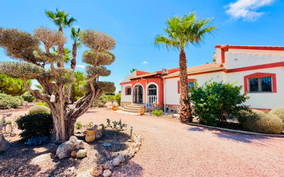 Revente - Villa -
Daya Vieja