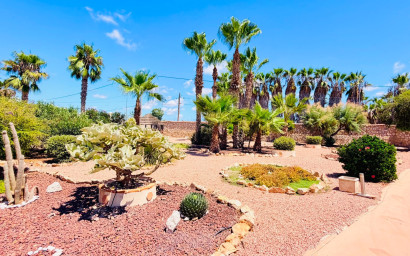 Revente - Villa -
Daya Vieja