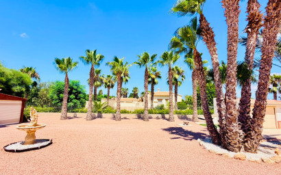 Revente - Villa -
Daya Vieja