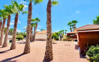 Revente - Villa -
Daya Vieja