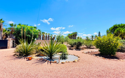 Revente - Villa -
Daya Vieja