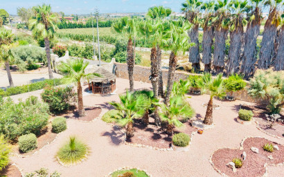 Revente - Villa -
Daya Vieja