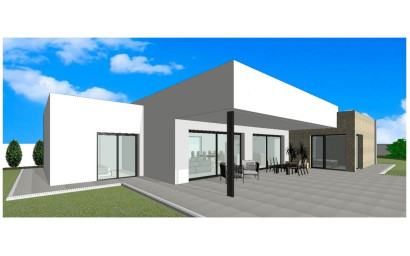 Nouvelle construction - Villa -
Pinoso