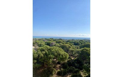Nouvelle construction - Appartement -
Guardamar del Segura
