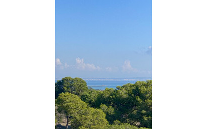 Nouvelle construction - Appartement -
Guardamar del Segura