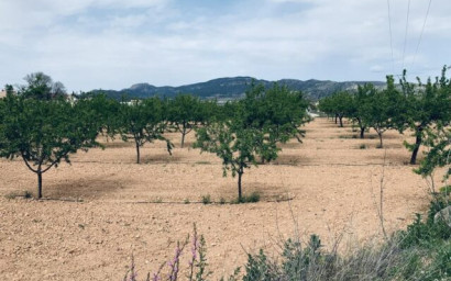 Herverkoop - land -
La Romana