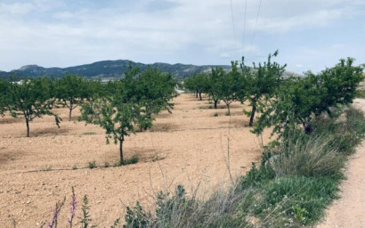 Revente - Terrain -
La Romana