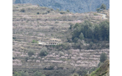 Revente - Maison de campagne -
Taberna