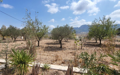 Revente - Maison de campagne -
La Romana - LA ROMANA